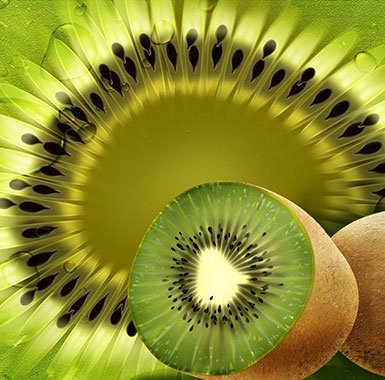 te puke kiwifruit